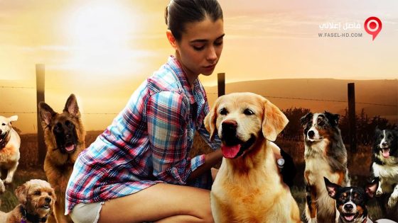 فيلم The Dog Lover 2016 مترجم