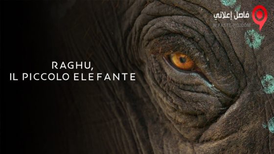 فيلم The Elephant Whisperers 2022 مترجم