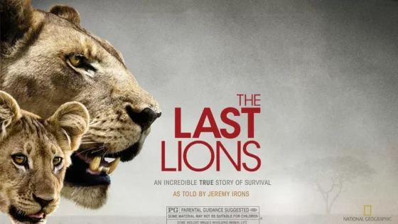 فيلم The Last Lions 2011 مترجم