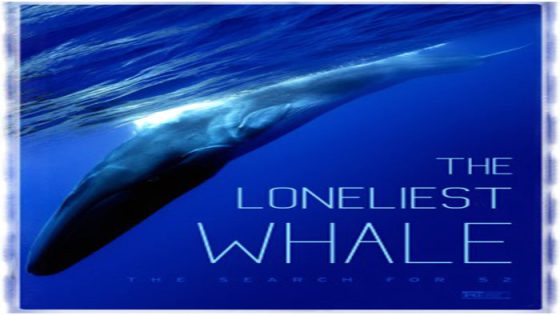فيلم The Loneliest Whale The Search For 52 2021 مترجم
