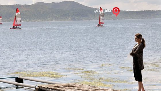 فيلم The Love Affair 2015 مترجم