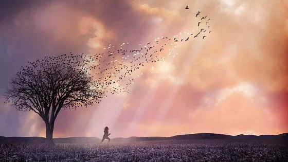 فيلم The Lovely Bones 2009 مترجم