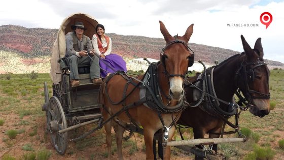 فيلم The Miller Prediction 2016 مترجم