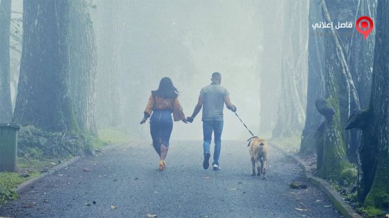 فيلم The Perfect Picture Ten Years Later 2019 مترجم