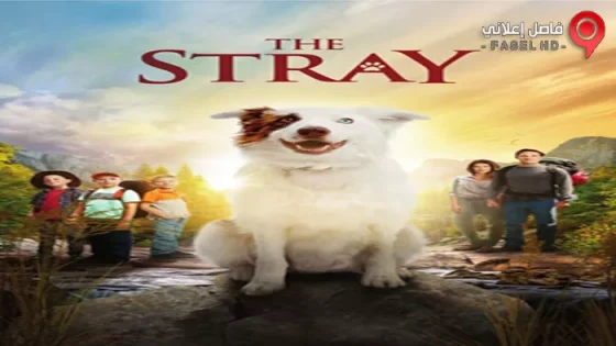 فيلم The Stray 2017 مترجم