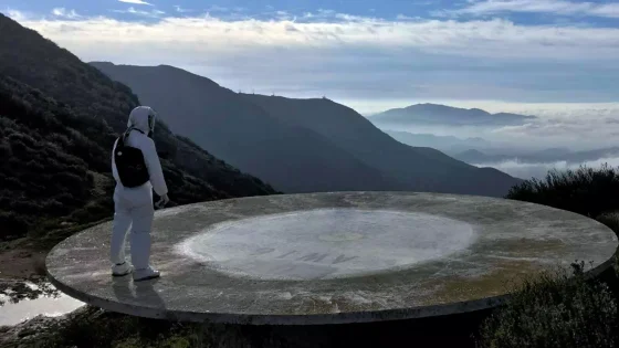 فيلم The Tangle 2019 مترجم