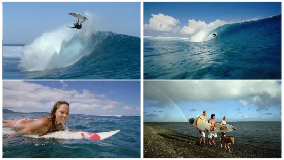 فيلم The Ultimate Wave: Tahiti 2010 مترجم