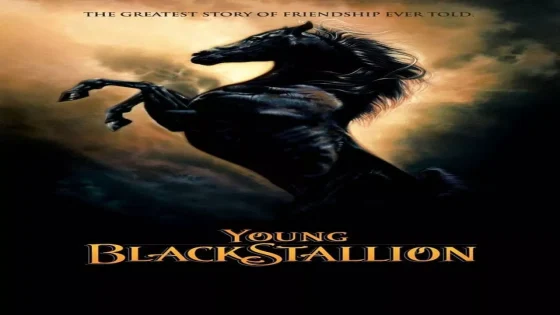 فيلم Young Black Stallion 2003 مترجم