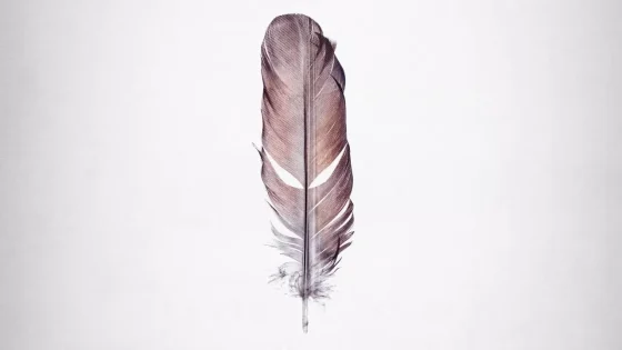 فيلم Tickled 2016 مترجم