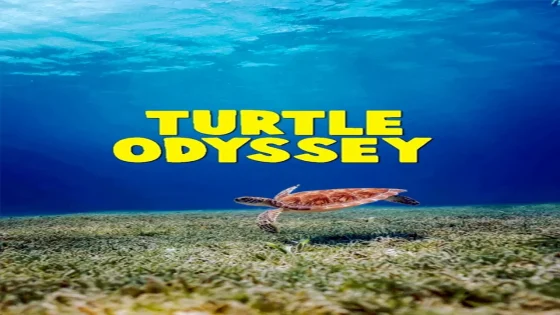 فيلم Turtle Odyssey 2018 مترجم
