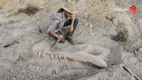 فيلم Valley of Bones 2017 مترجم