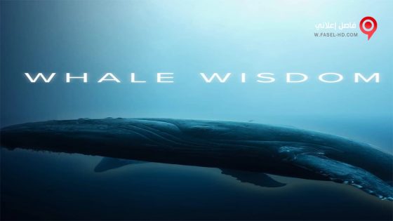 فيلم Whale Wisdom 2019 مترجم