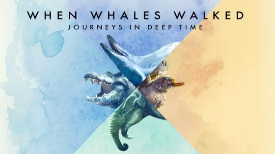 فيلم When Whales Walked: Journeys in Deep Time 2019 مترجم