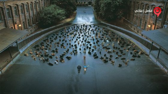 فيلم White God 2014 مترجم