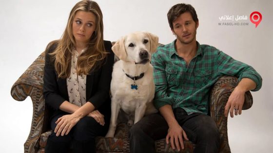 فيلم Who Gets the Dog 2016 مترجم