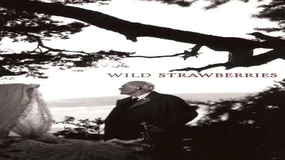 فيلم Wild Strawberries 1957 مترجم