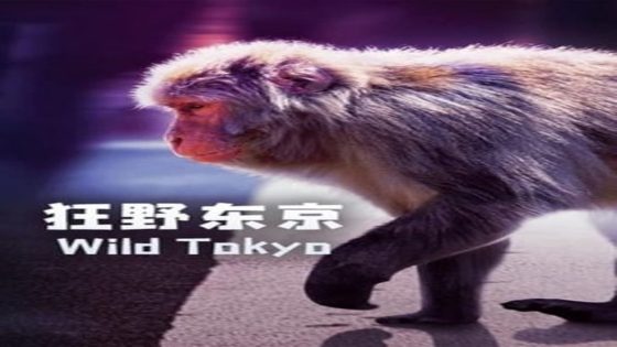 فيلم Wild Tokyo 2020 مترجم