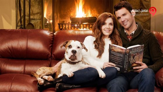 فيلم Winter Love Story 2019 مترجم