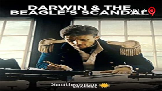 فيلم the Beagles Scandal 2019 مترجم