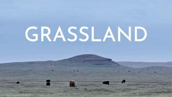 فيلم Grassland 2024 مترجم